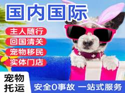 吐鲁番交河空运公司国际宠物托运 【国
